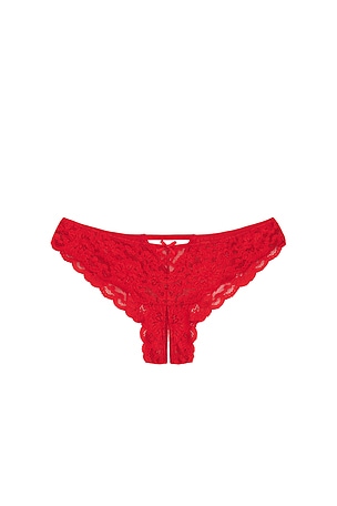 Charlotte Crotchless Panty fleur du mal