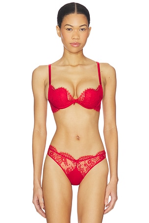 Frankie Lace Seduce U- Plunge Bra fleur du mal
