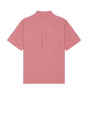 FORMER Vivian Vine Short Sleeve Shirt in Rose. Size S. Also