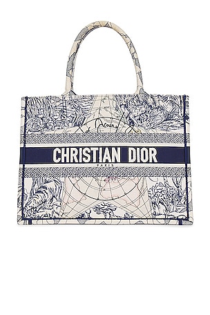 Dior Book Tote Bag FWRD Renew