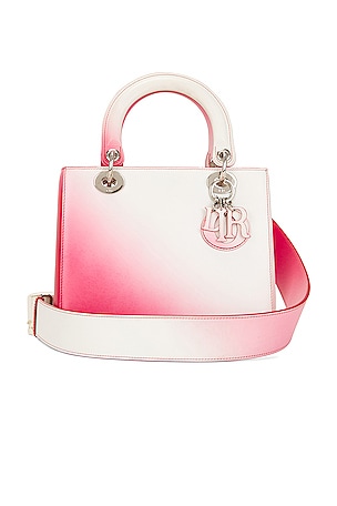 Dior Lady Handbag FWRD Renew