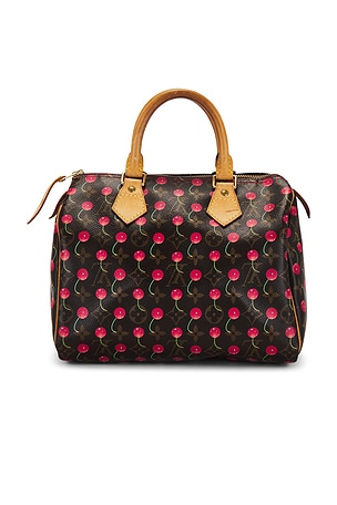 Louis Vuitton Monogram Cherry Speedy 25 Handbag FWRD Renew