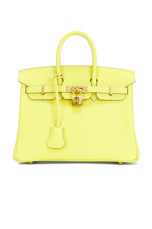 Hermes Birkin 25 Handbag FWRD Renew