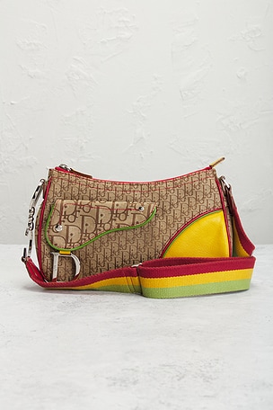 FWRD Renew Dior Rasta Trotter Double Saddle Bag in Brown