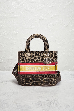 FWRD Renew SAC À MAIN DIOR in Brown