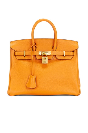 Hermes Togo Birkin 25 Handbag FWRD Renew