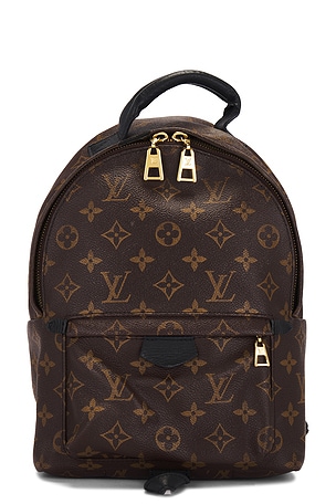 Louis Vuitton Palm Springs PM Backpack FWRD Renew