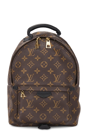 Louis Vuitton Palm Springs PM Backpack FWRD Renew