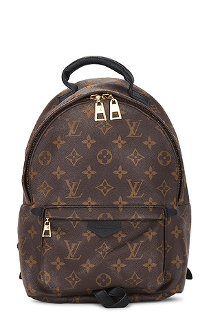 Louis Vuitton Palm Springs PM Backpack FWRD Renew