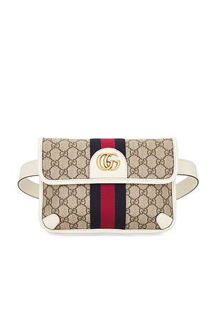 Gucci Ophidia Waist Bag FWRD Renew