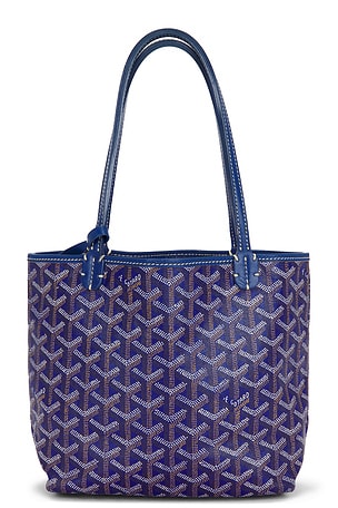 Goyard Saint Louis Junior Tote Bag FWRD Renew