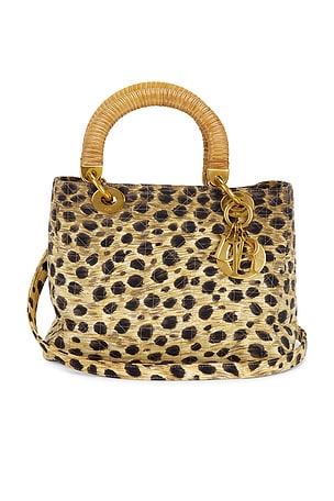 Dior Leopard Lady Dior Handbag FWRD Renew