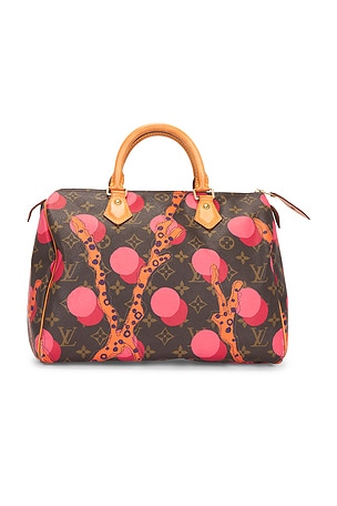 Louis Vuitton Limited Edition Grenade Ramages Speedy 30 Handbag FWRD Renew