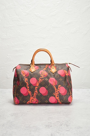 FWRD Renew Louis Vuitton Limited Edition Grenade Ramages Speedy 30 Handbag in Brown