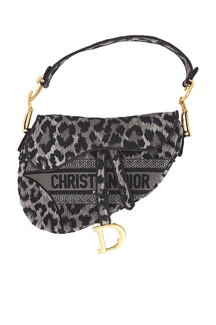 Dior Saddle Bag FWRD Renew
