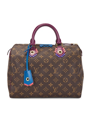 Louis Vuitton Monogram Totem Speedy 30 Handbag FWRD Renew