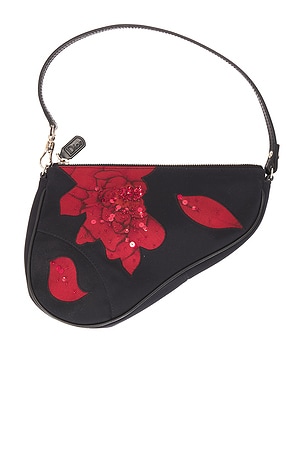 Dior Satin Embroidered Limited Edition Mini Saddle Bag FWRD Renew
