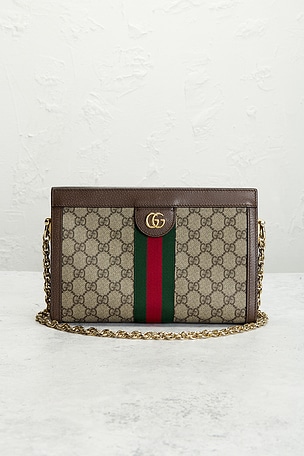 FWRD Renew Gucci Ophidia Shoulder Bag in Brown