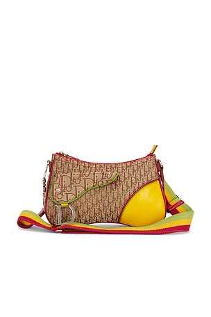 Dior Rasta Double Saddle Bag FWRD Renew