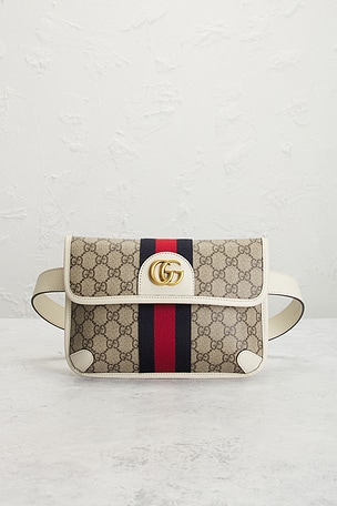 FWRD Renew Gucci Ophidia Belt Bag
