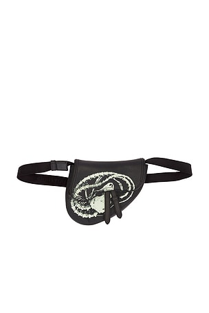 DIOR バッグ FWRD Renew