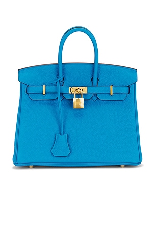 Hermes Togo Birkin 25 Handbag FWRD Renew