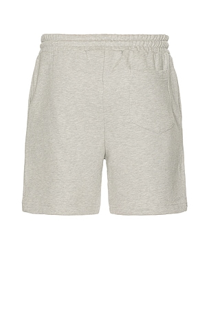 FLANEUR Blossom Shorts in Grey
