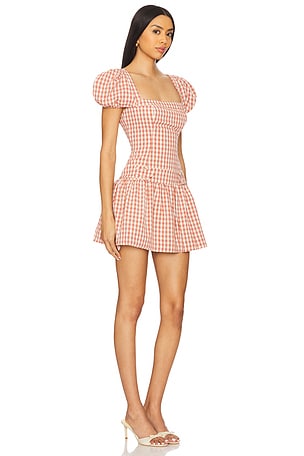 For Love & Lemons Georgia Gingham Short Sleeve Mini Dress in Mauve