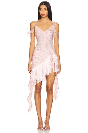 Raspberry Rose Mini Dress For Love & Lemons