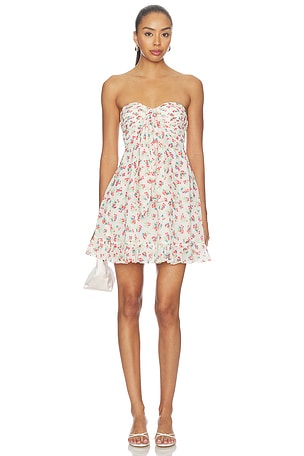 Teagan Mini Dress For Love & Lemons