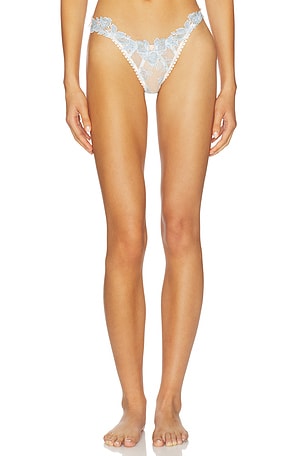 Winter Roses Thong Panty For Love & Lemons