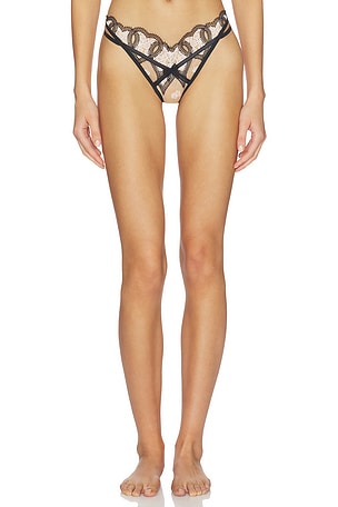 TRUEST ソング For Love & Lemons