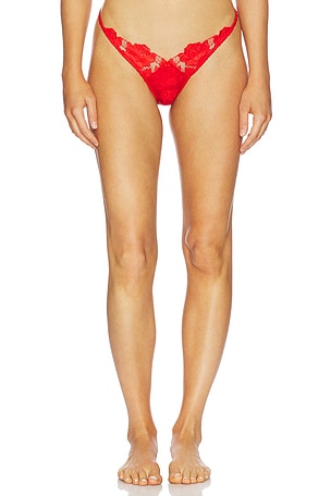 Love Is A Rose Thong Panty For Love & Lemons