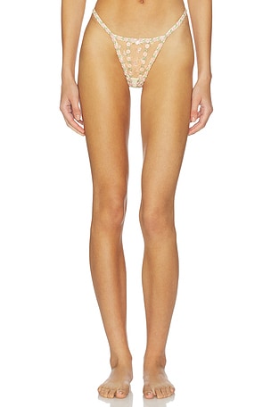 Twilight Rose Thong Panty For Love & Lemons