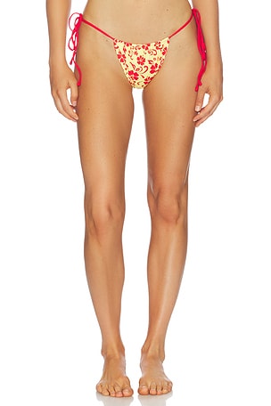 Tia Bikini Bottom Frankies Bikinis