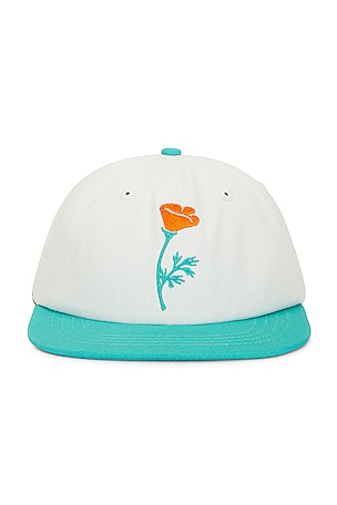 Poppy Short Brim Snapback Hat Free & Easy