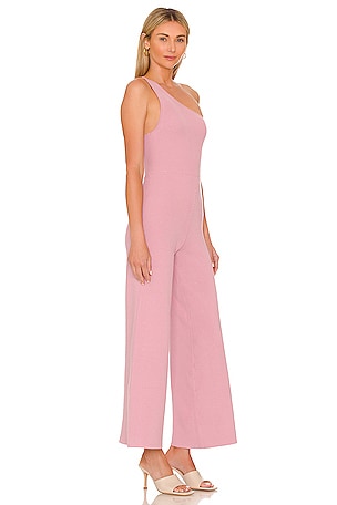 Free People Waverly Jumpsuit in Pink