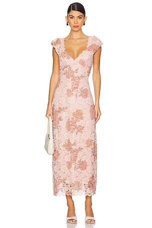 Bardot Lucy Lace Dress in Apricot REVOLVE