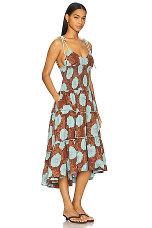 Free People Adriel Midi Dress in Brown,Blue