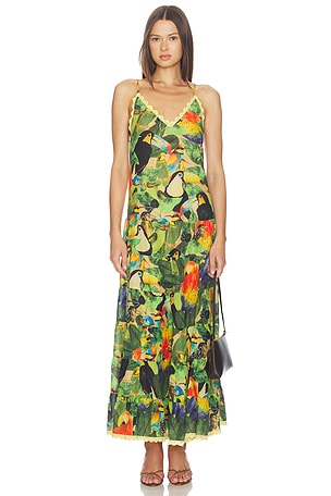Bird Leaves Long Dress FARM Rio
