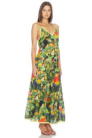 FARM Rio Bird Leaves Long Dress in Green