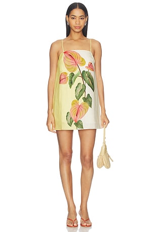 Mini Dress FARM Rio