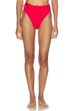 BRAGUITAS BIKINI CINTURA ALTA PLACED PRINT FARM Rio
