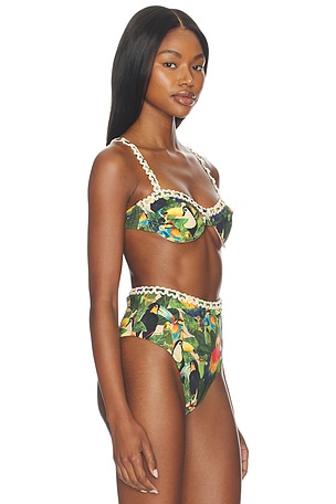 FARM Rio Bird Leaves Underwire Bikini Top in Green