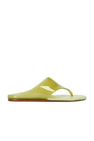 Jelly Thong Flat Sandal FARM Rio