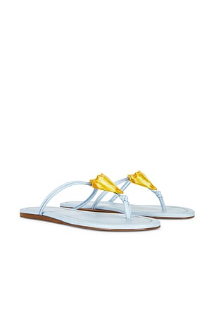 Shell Flat Sandal FARM Rio