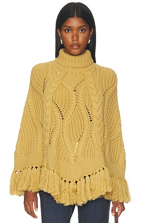 Hayaru Poncho Goldbergh
