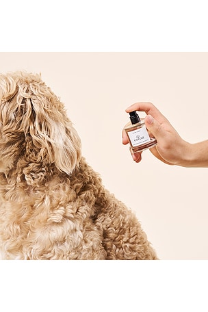 Goldie Dog Essentials Youth Elixir Coat Conditioning Fragrance