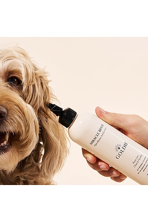 Goldie Dog Essentials Miracle Rinse