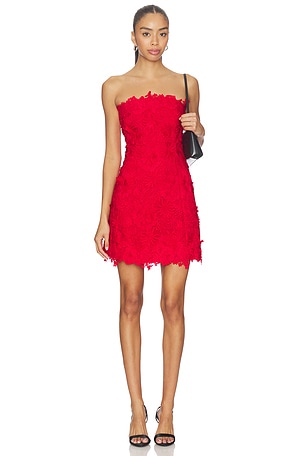 Lydia 3d Lace Dress Generation Love